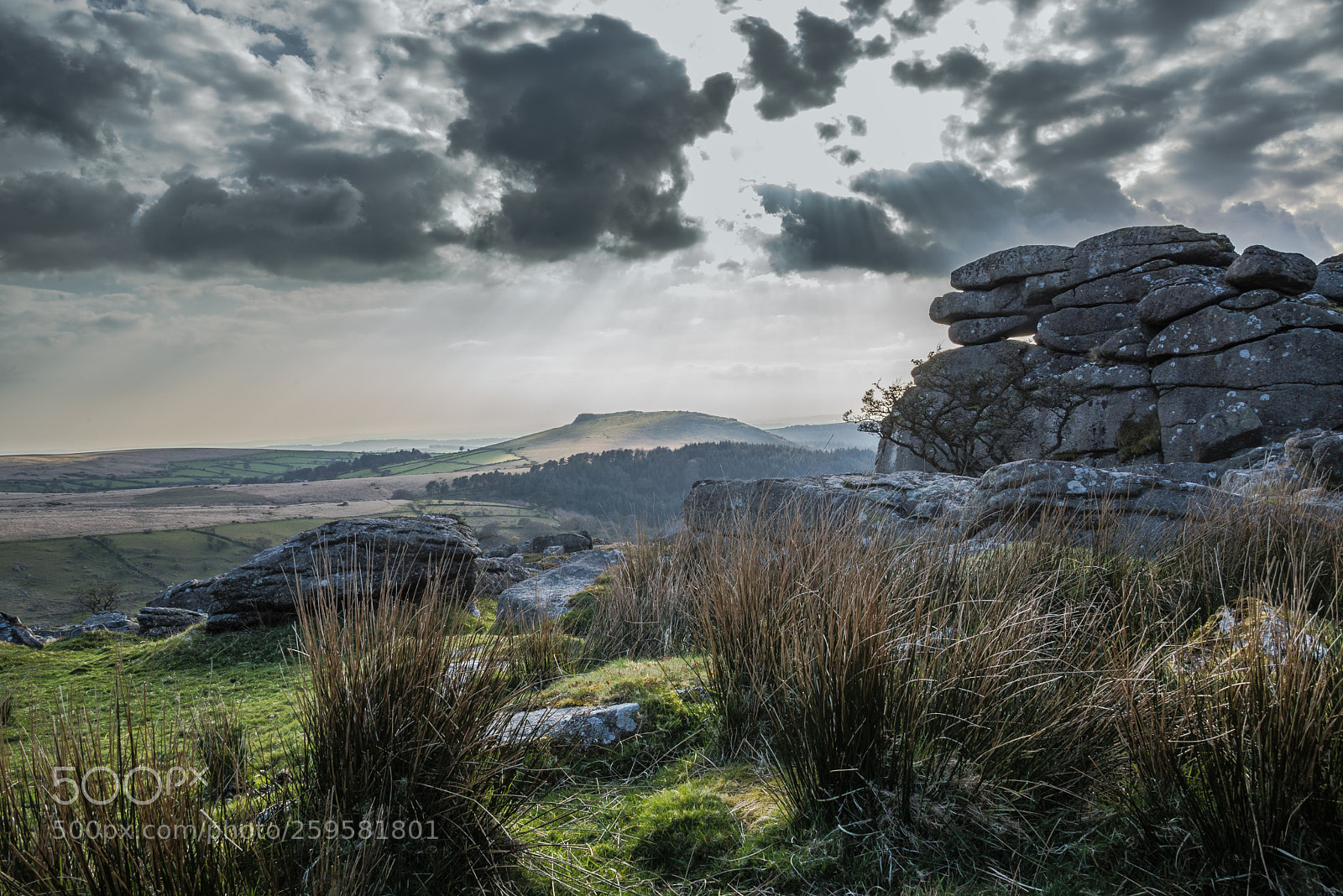 Nikon D610 sample photo. On combeshead tor, dartmoor photography