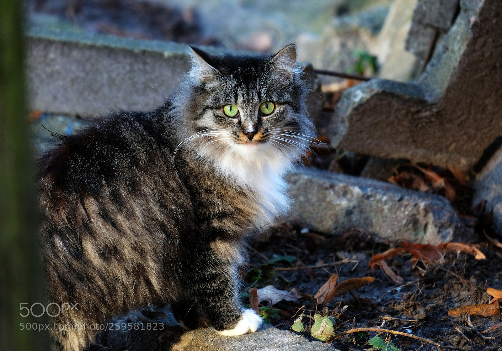 Fujifilm X-T20 sample photo. Street photo of a photography