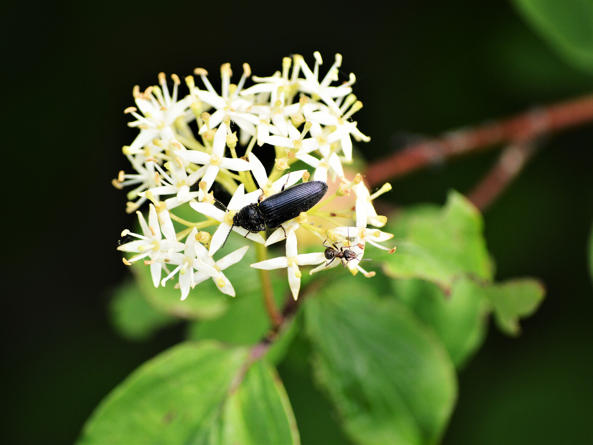 Nikon D3200 sample photo