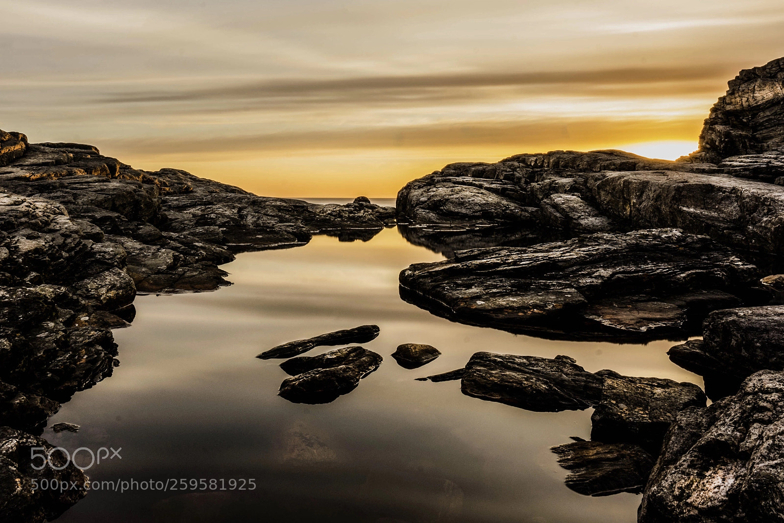 Sony a7 II sample photo. Skogsøy photography