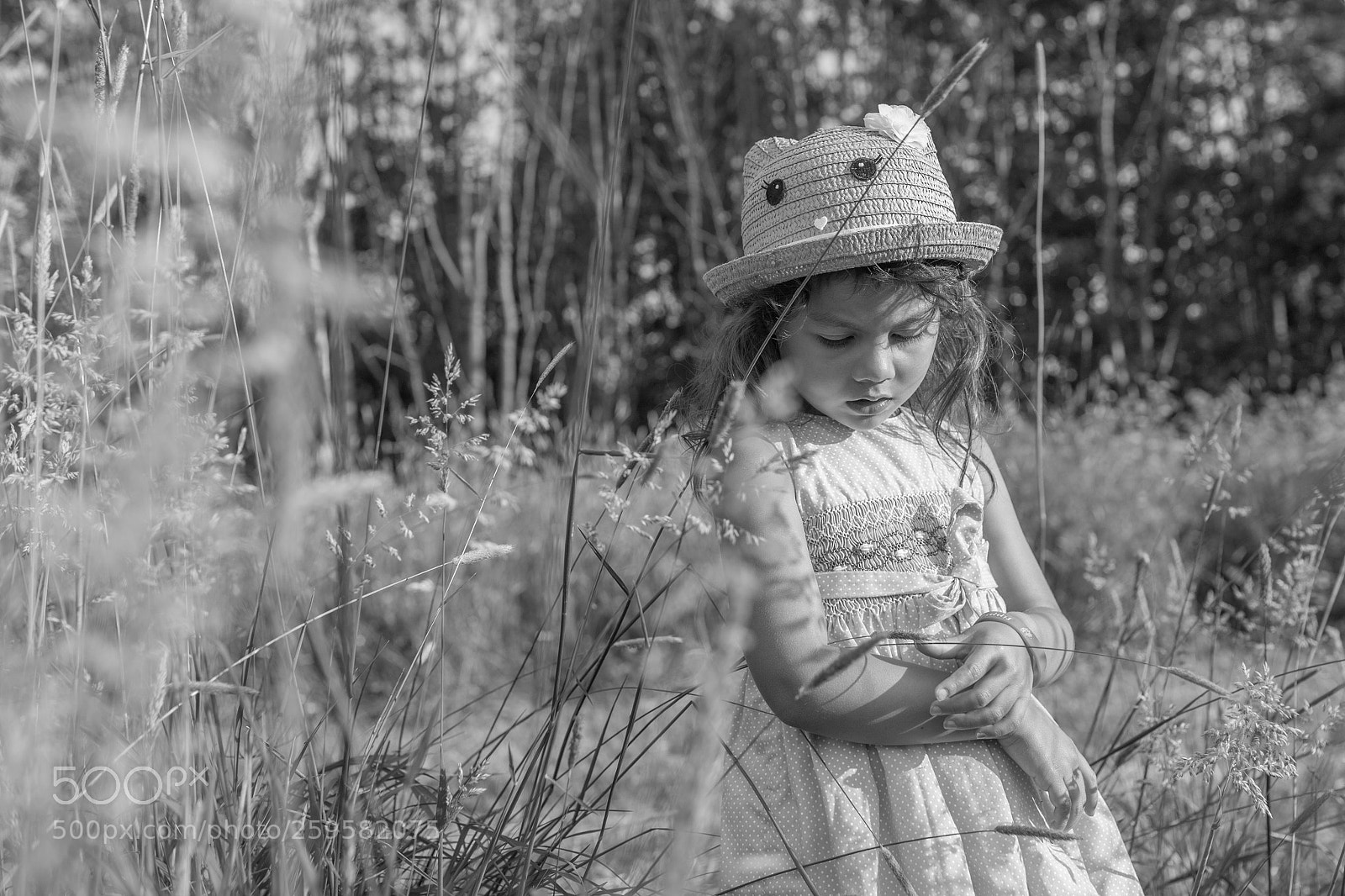 Canon EOS 6D Mark II sample photo. Untitled photography