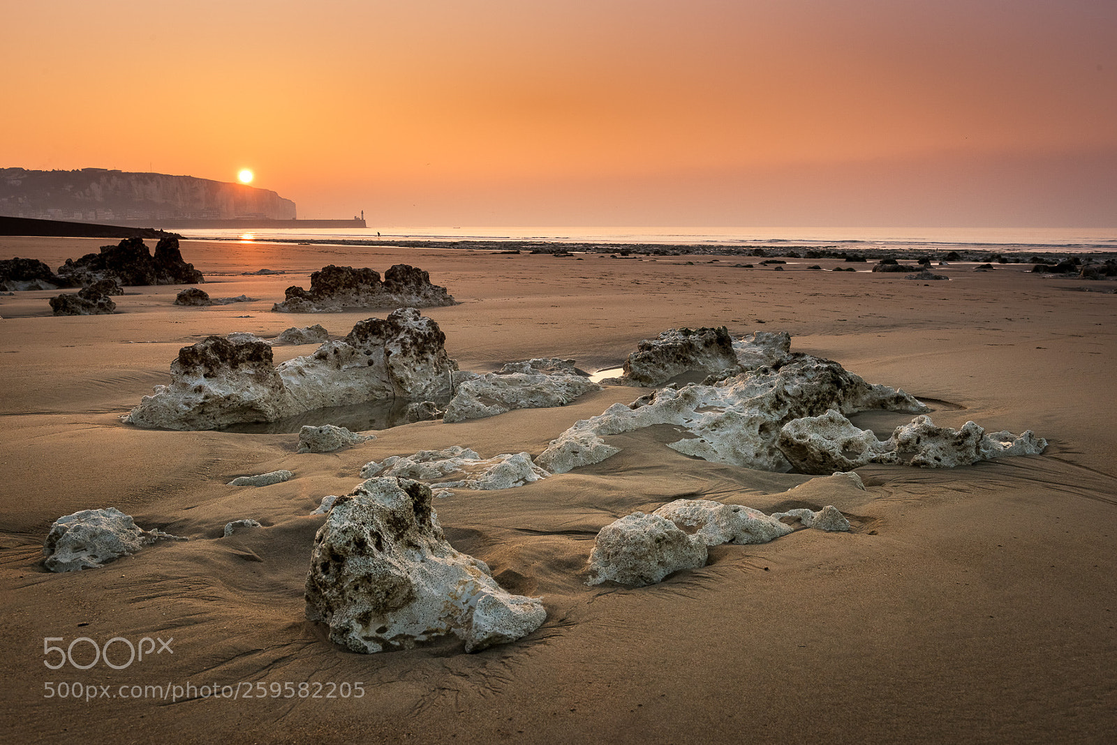 Nikon D810 sample photo. Sunset at the tr photography