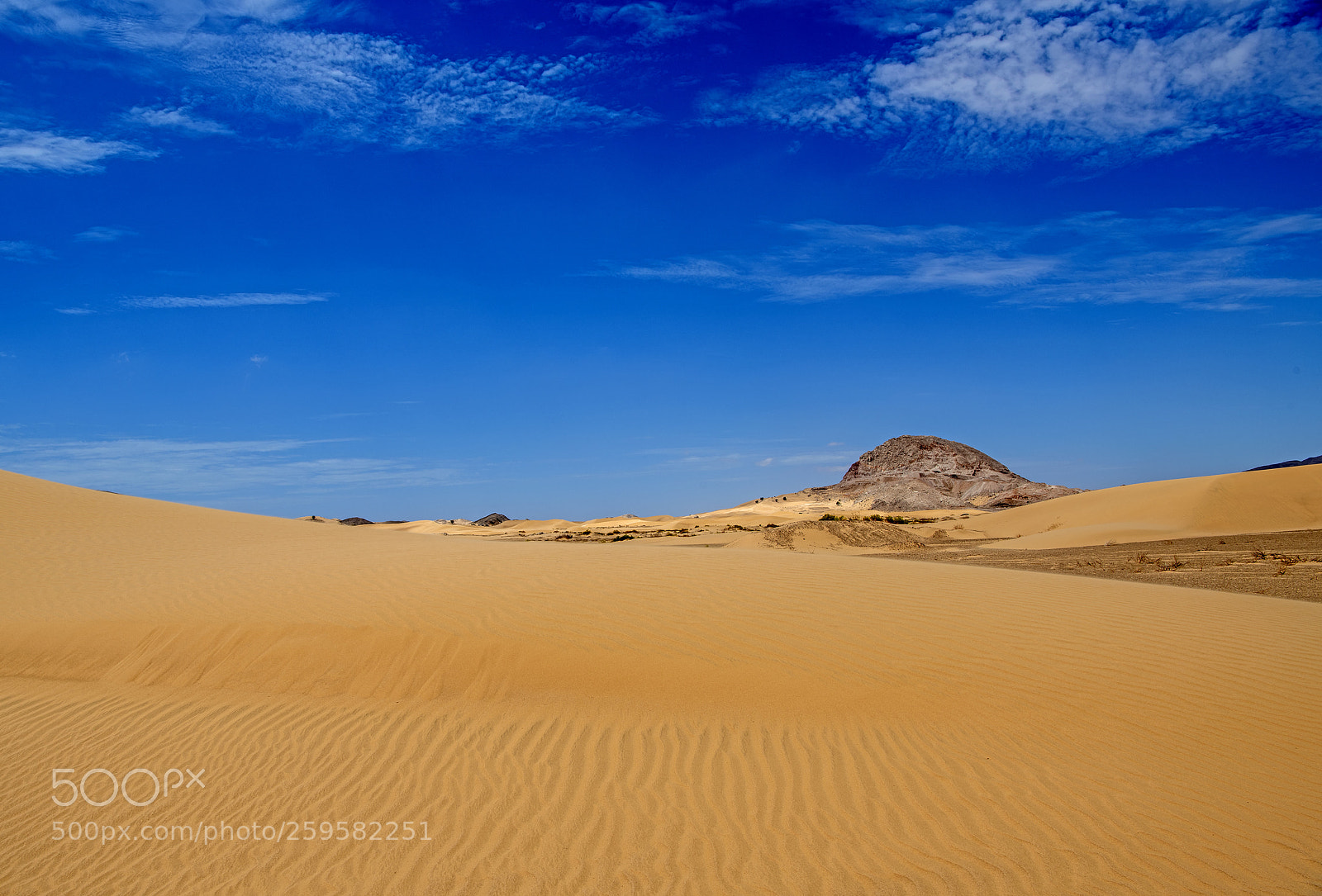 Nikon D850 sample photo. Oman sands photography