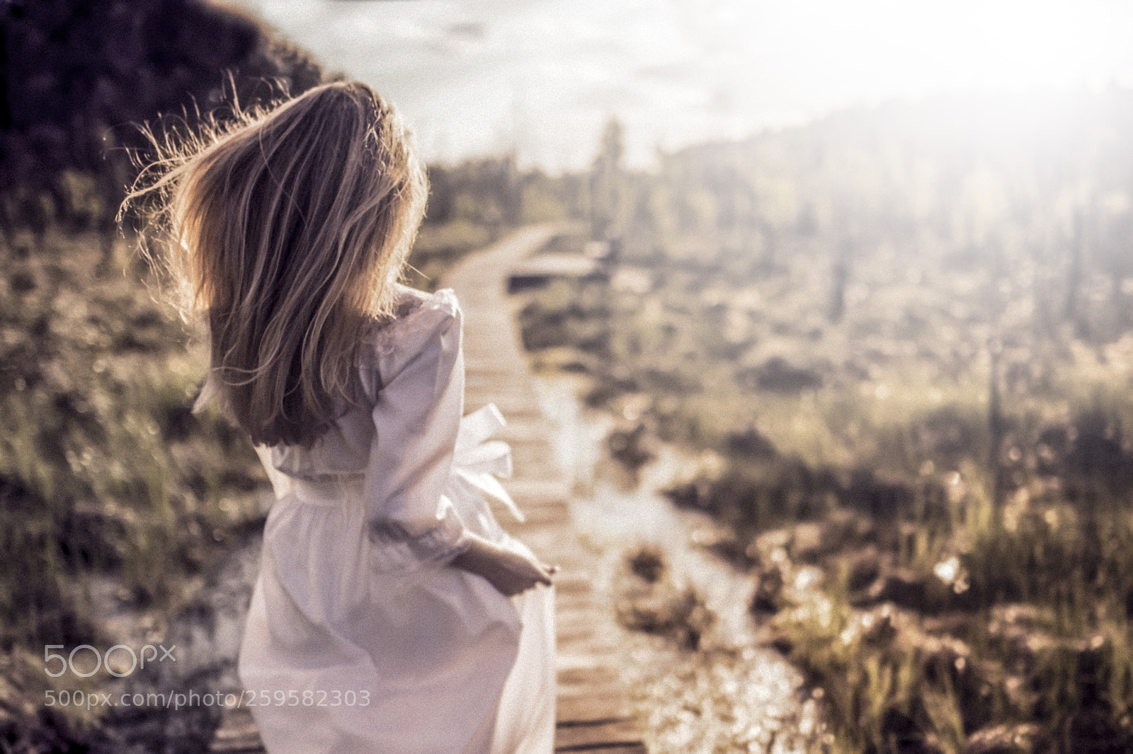 Nikon D850 sample photo. Running to sun photography
