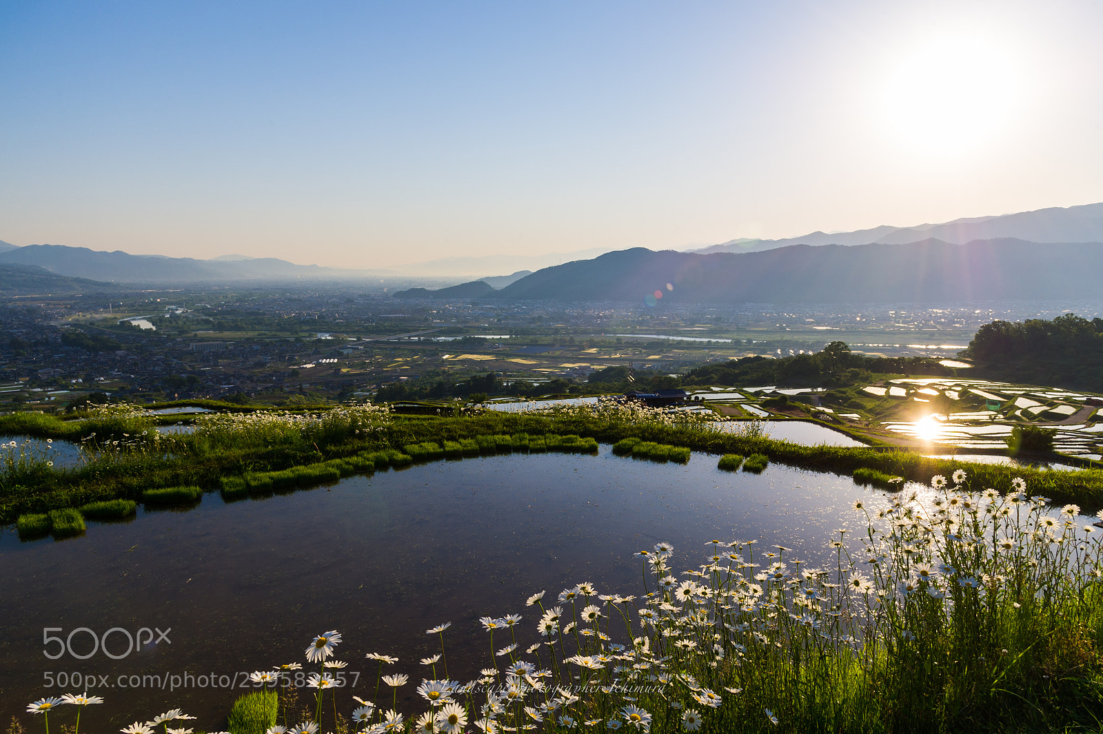 Nikon D3S sample photo. Beautiful morning photography