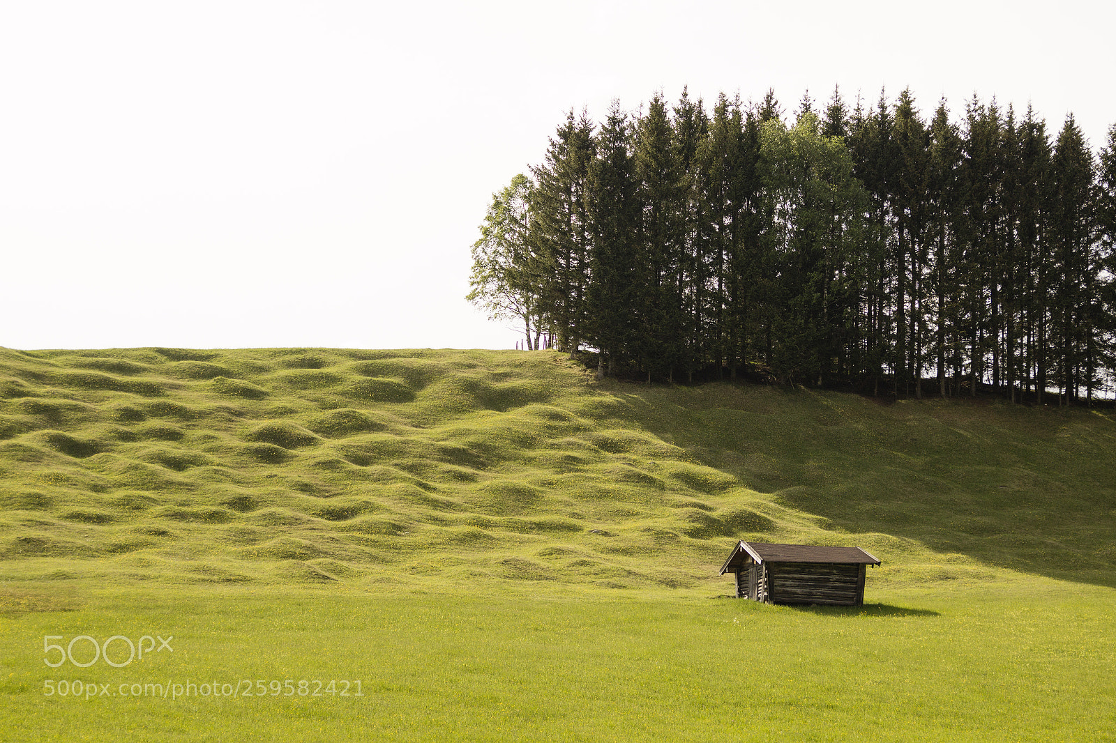 Canon EOS 600D (Rebel EOS T3i / EOS Kiss X5) sample photo. Buckelwiesen photography
