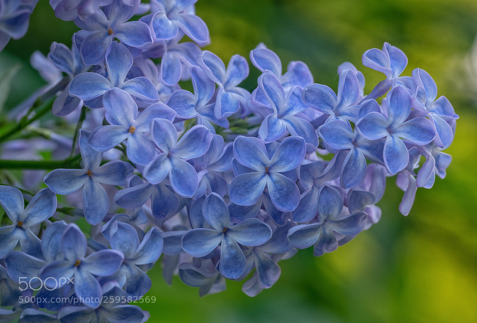 Fujifilm X-T2 sample photo. Edit photography
