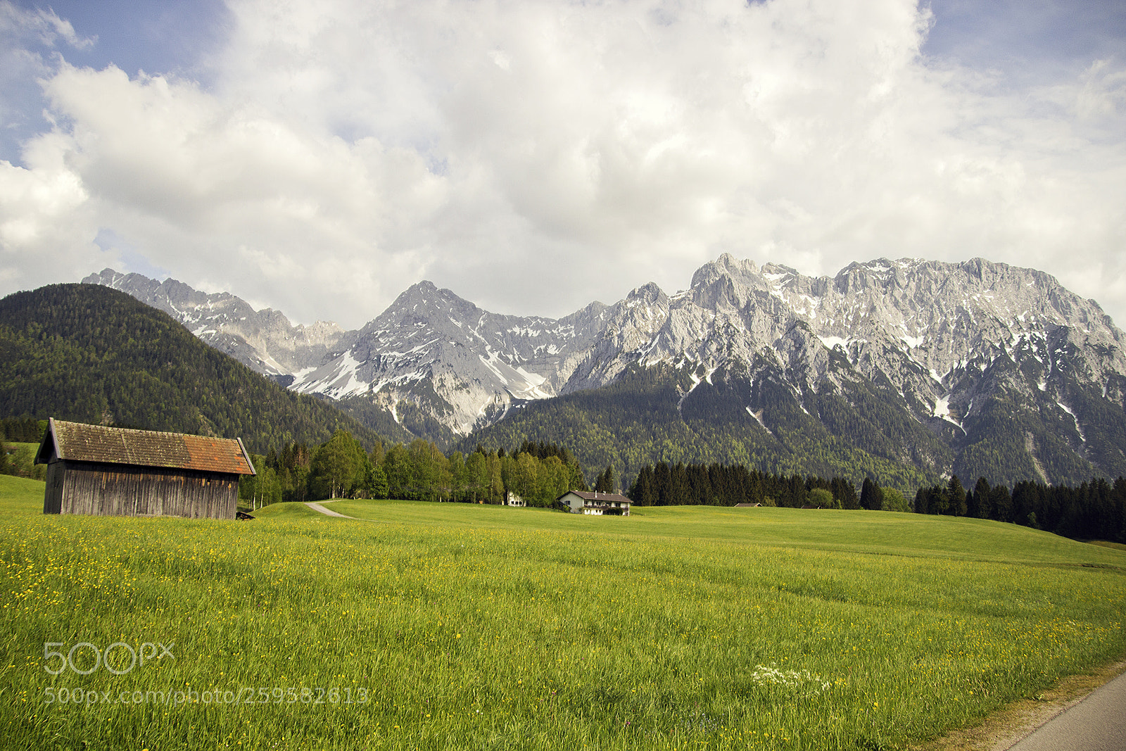 Canon EOS 600D (Rebel EOS T3i / EOS Kiss X5) sample photo. Buckelwiesen photography