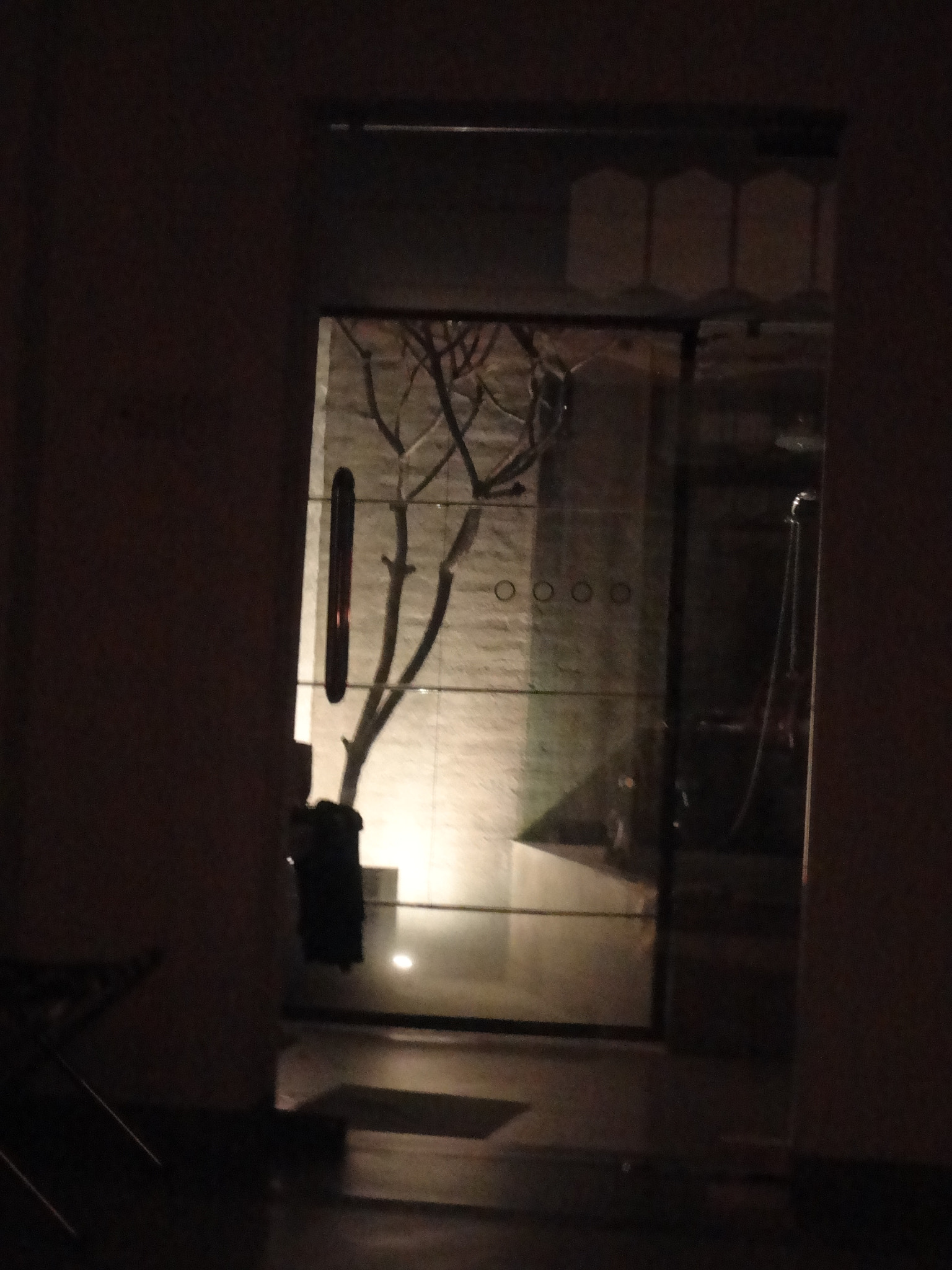 Sony Cyber-shot DSC-W570 sample photo. Tree shadow photography
