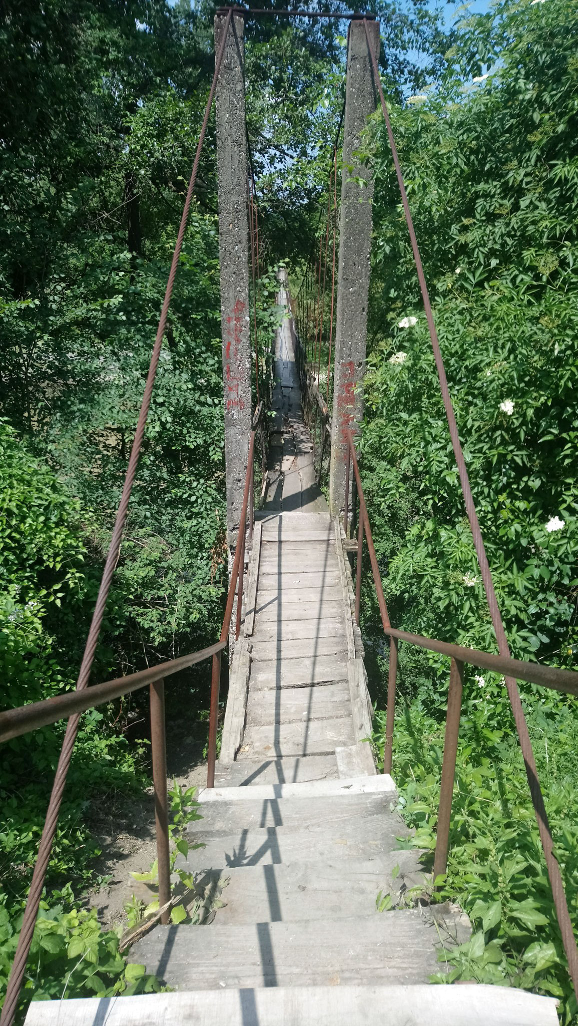 Sony Xperia XA1 Ultra sample photo