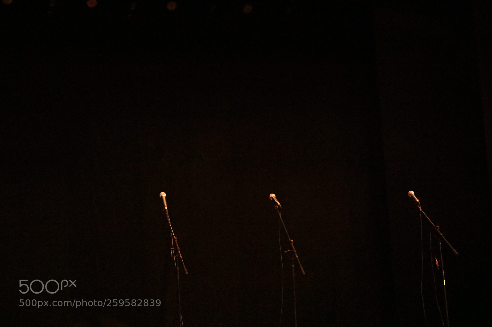 Canon EOS 750D (EOS Rebel T6i / EOS Kiss X8i) sample photo. Three microphones on a photography