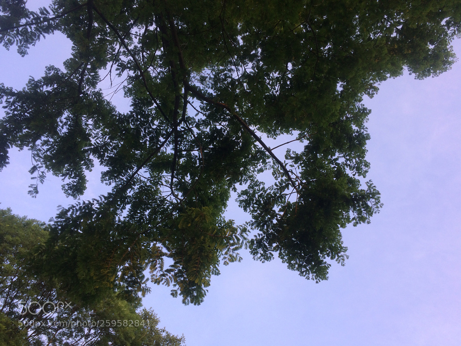 Apple iPhone 5s sample photo. Untitled photography