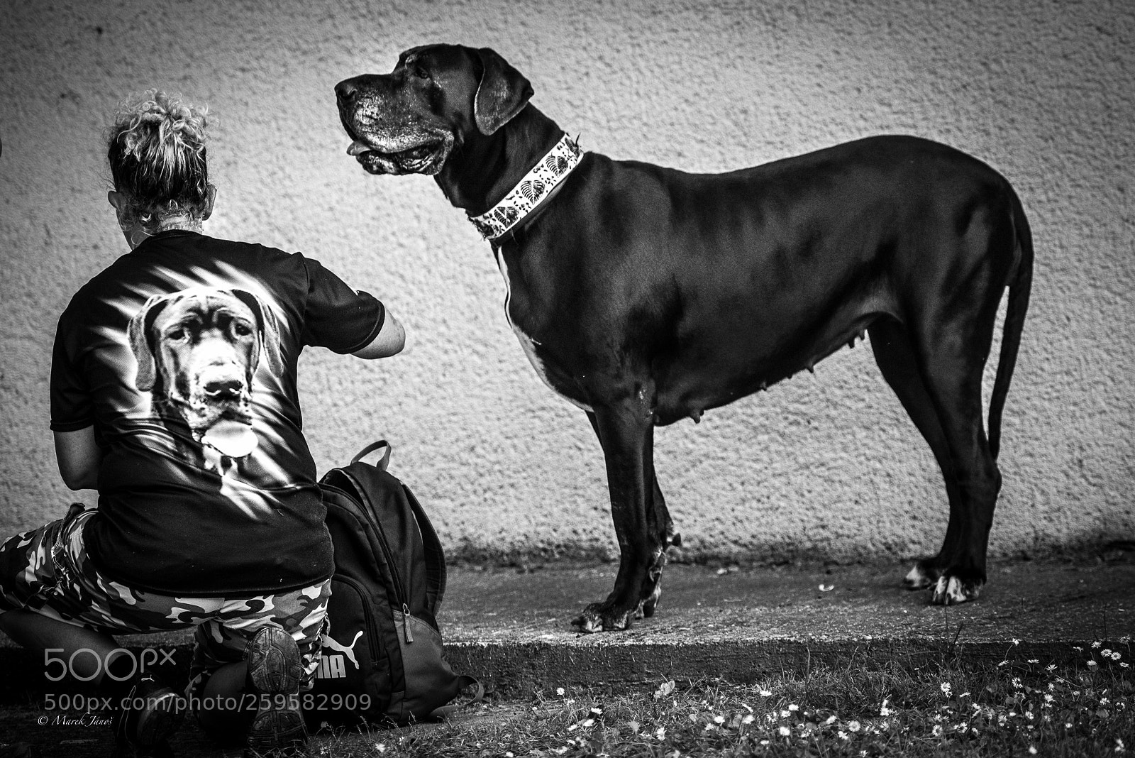 Nikon D800 sample photo. Mrs big photography
