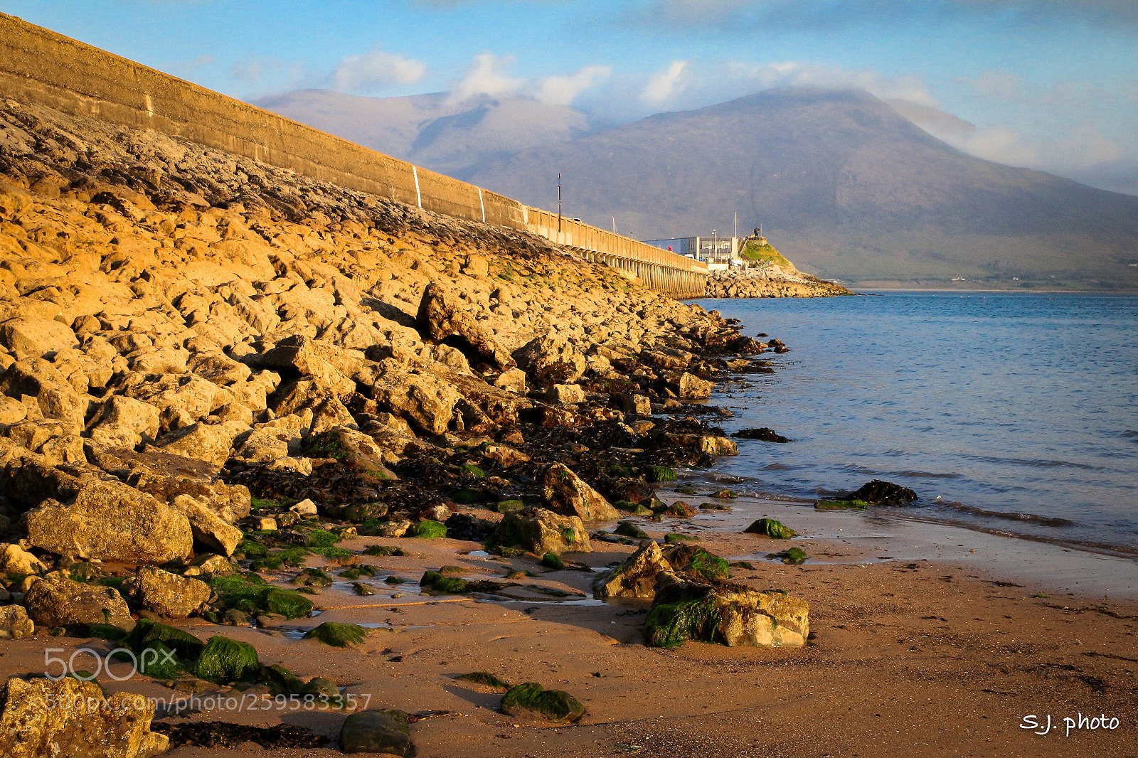 Canon EOS 70D sample photo. Fenit photography