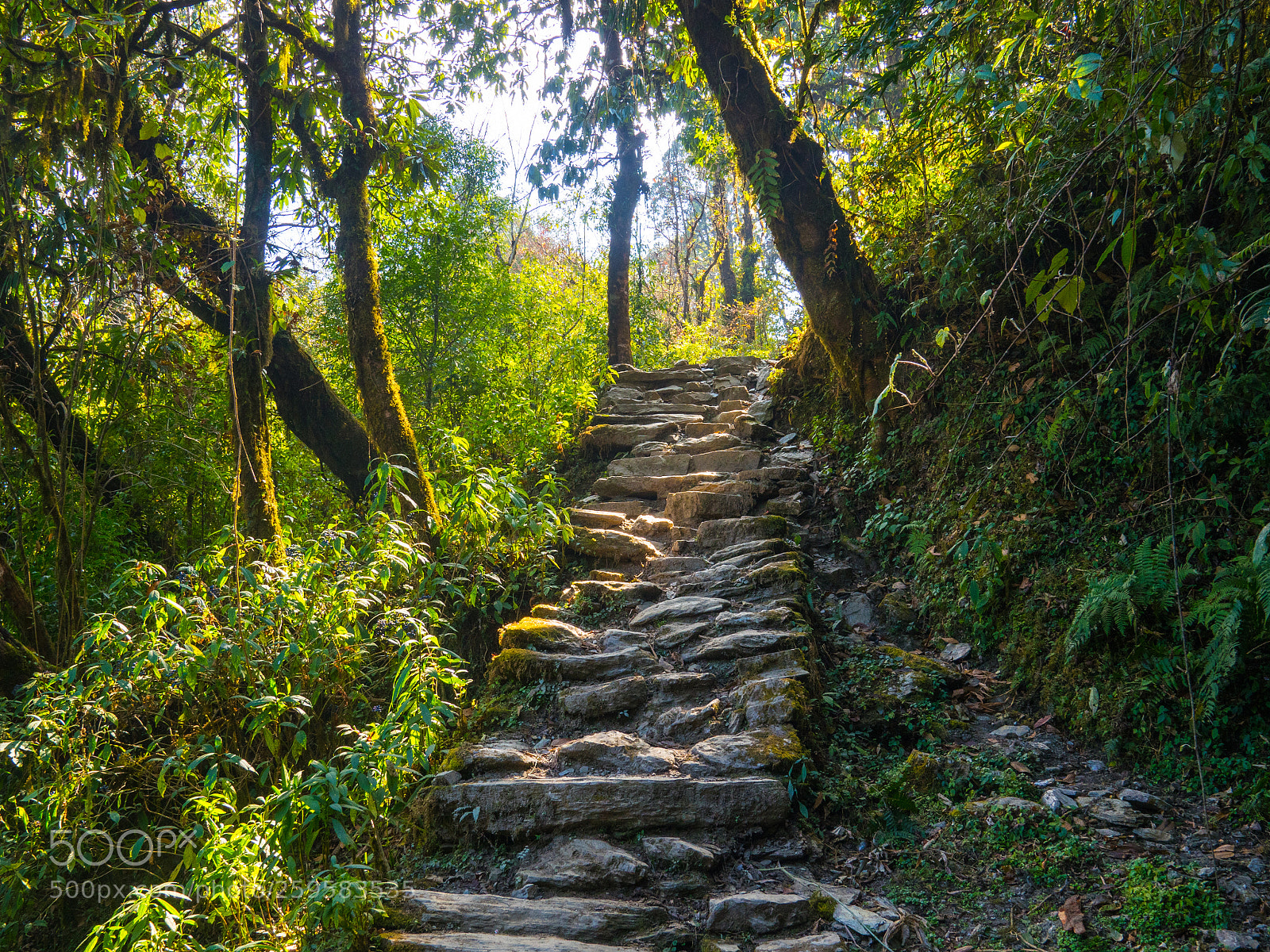 Olympus OM-D E-M5 II sample photo. Rock stairs photography