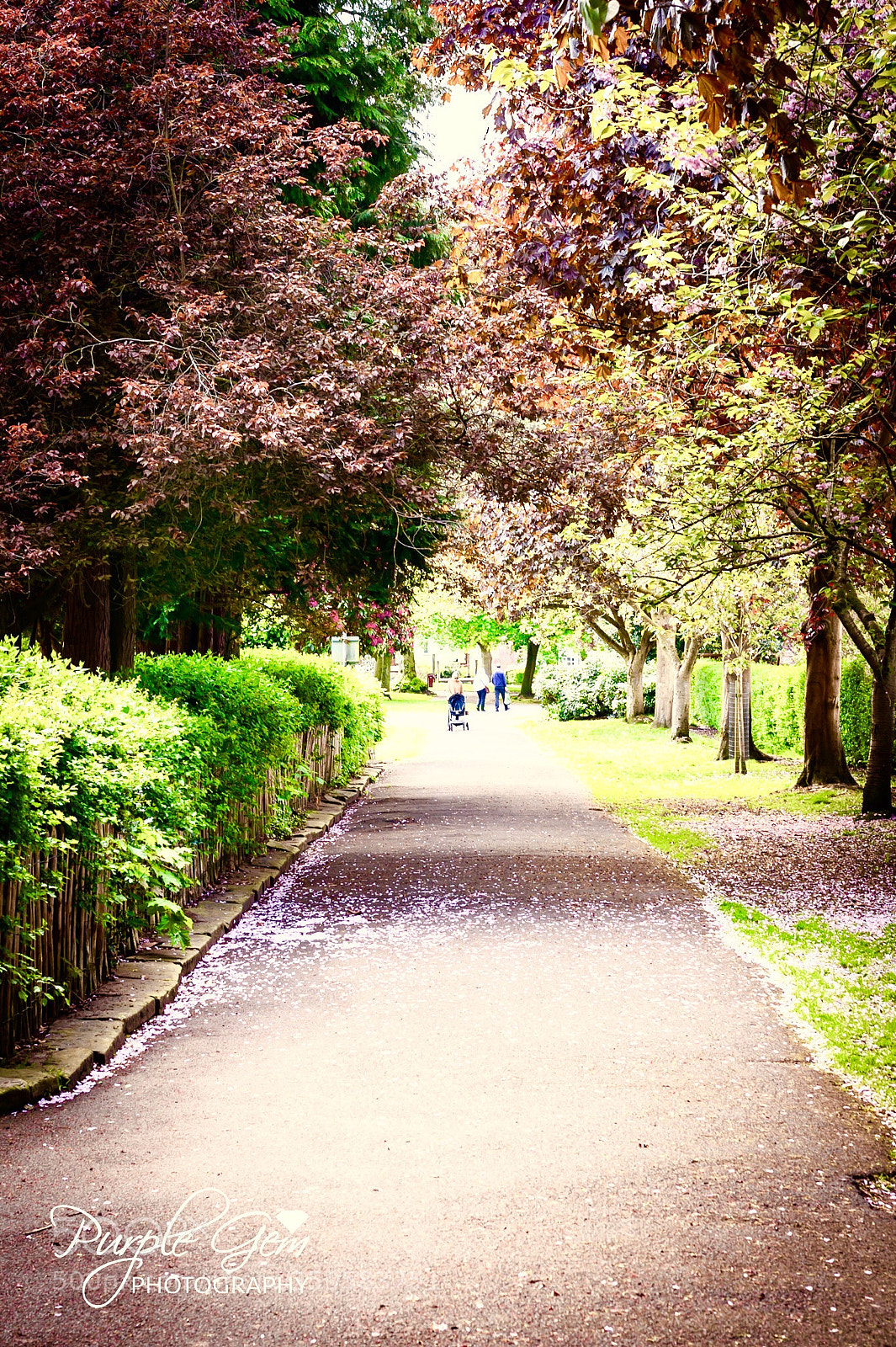 Nikon D700 sample photo. Untitled photography