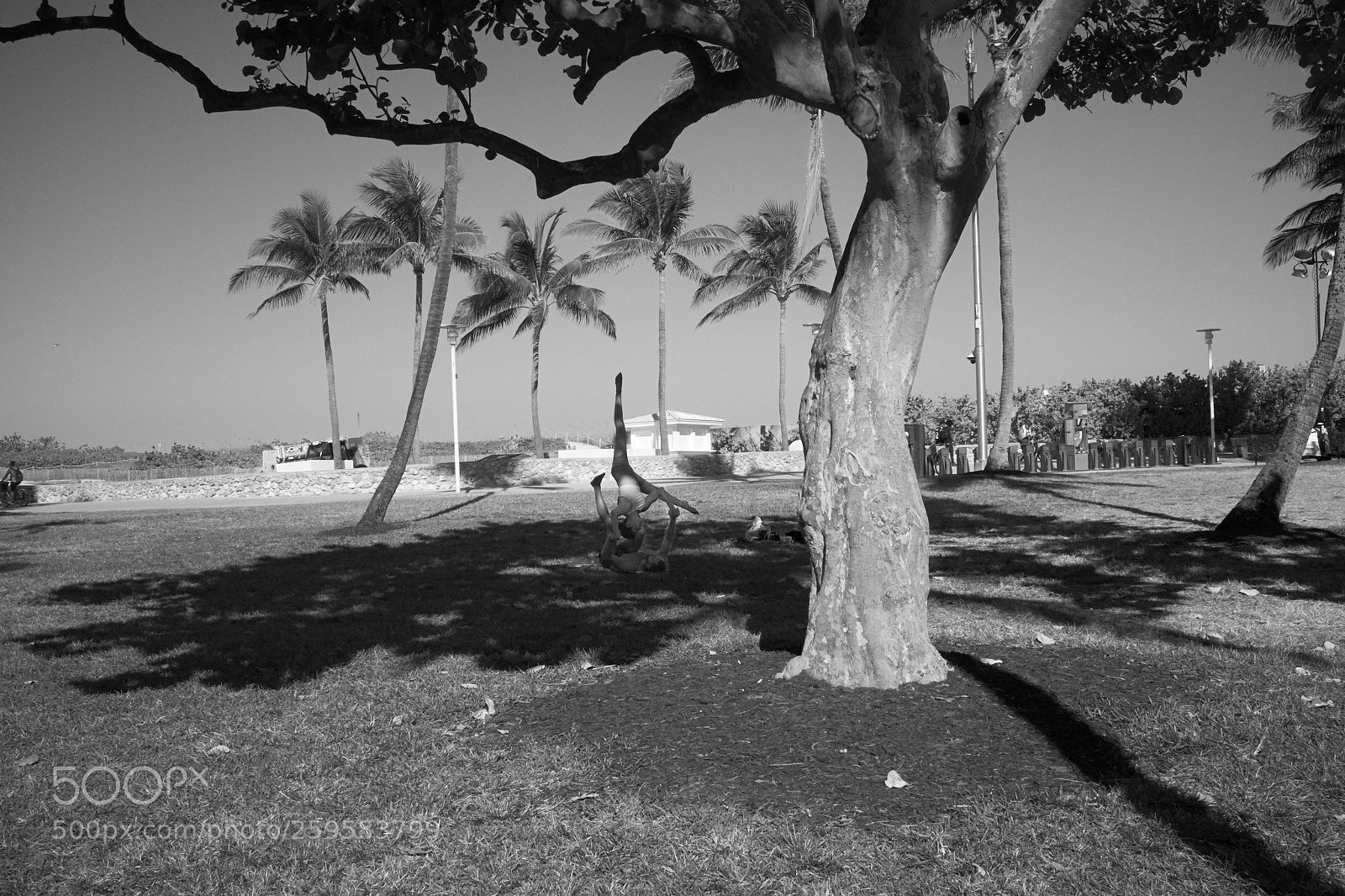 Fujifilm X100S sample photo. Perfecting in the shade photography