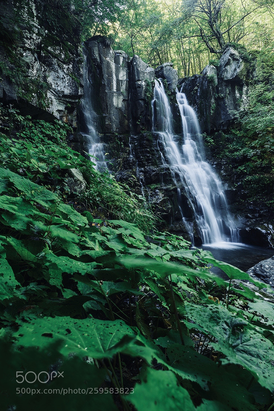 Nikon D800E sample photo. Summer dardagna’s falls photography