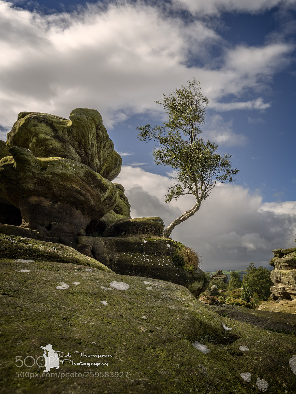 Nikon D800 sample photo. Brimham rocks photography