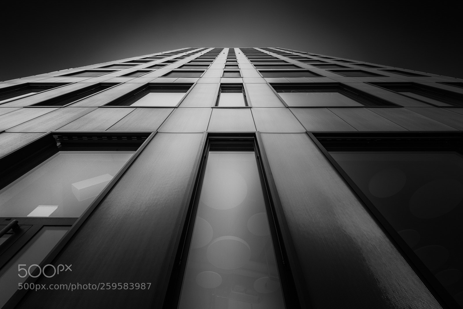 Nikon D810 sample photo. Escape gravity photography