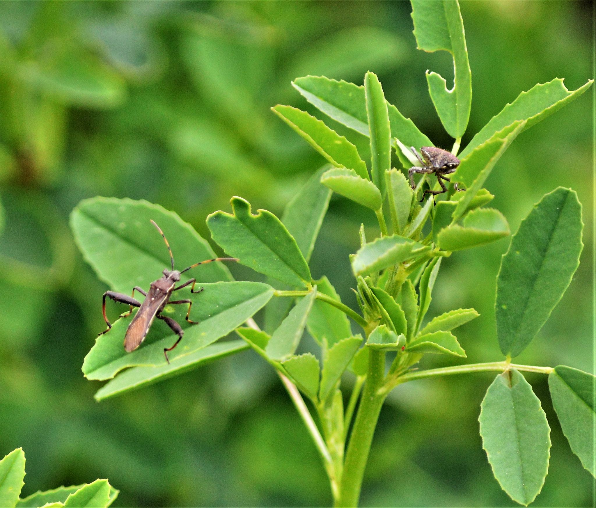 Nikon D3200 sample photo