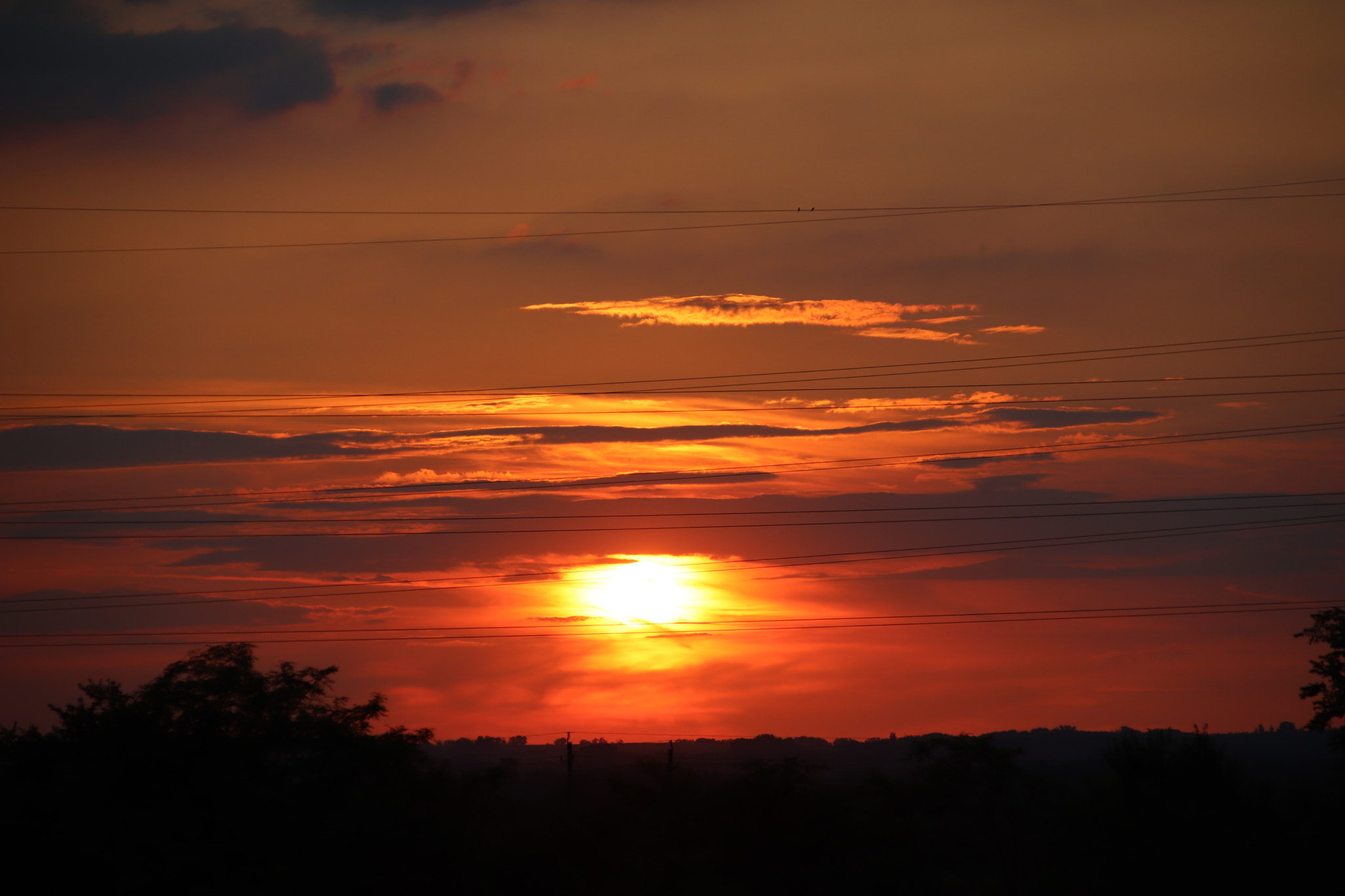 Canon EOS 800D (EOS Rebel T7i / EOS Kiss X9i) + Canon TS-E 90mm F2.8 Tilt-Shift sample photo. Sunset photography