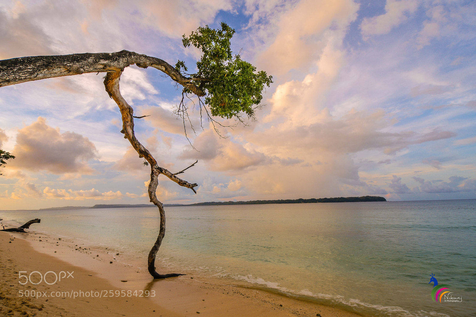 Nikon D500 sample photo. Sea side (sunset hue) photography