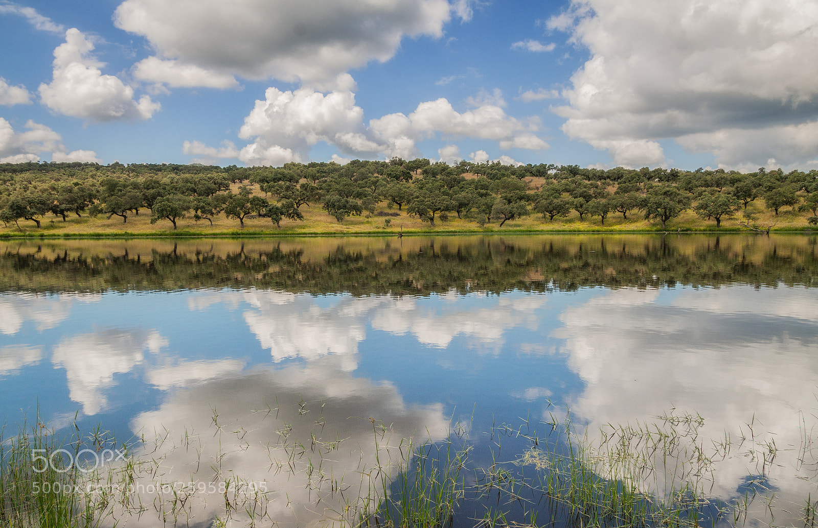 Canon EOS 50D sample photo. Reflejos photography