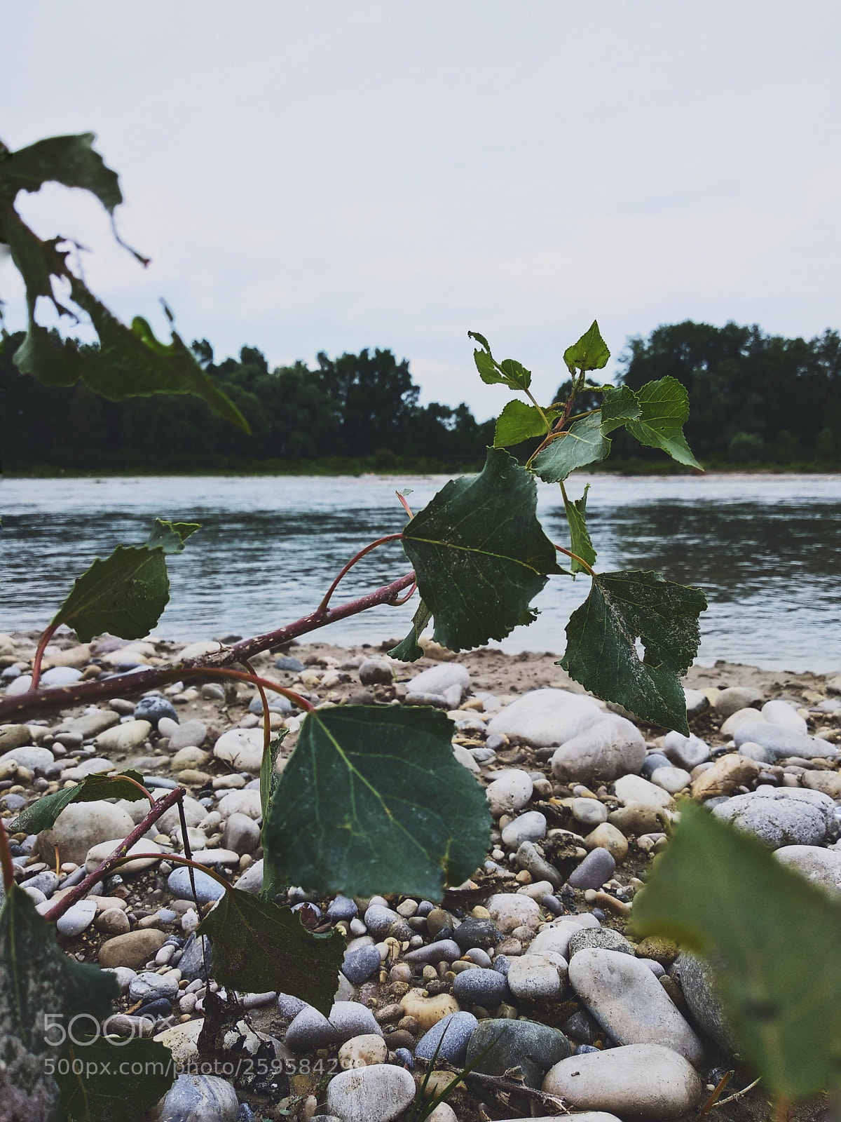 Xiaomi Mi A1 sample photo. Riverside photography