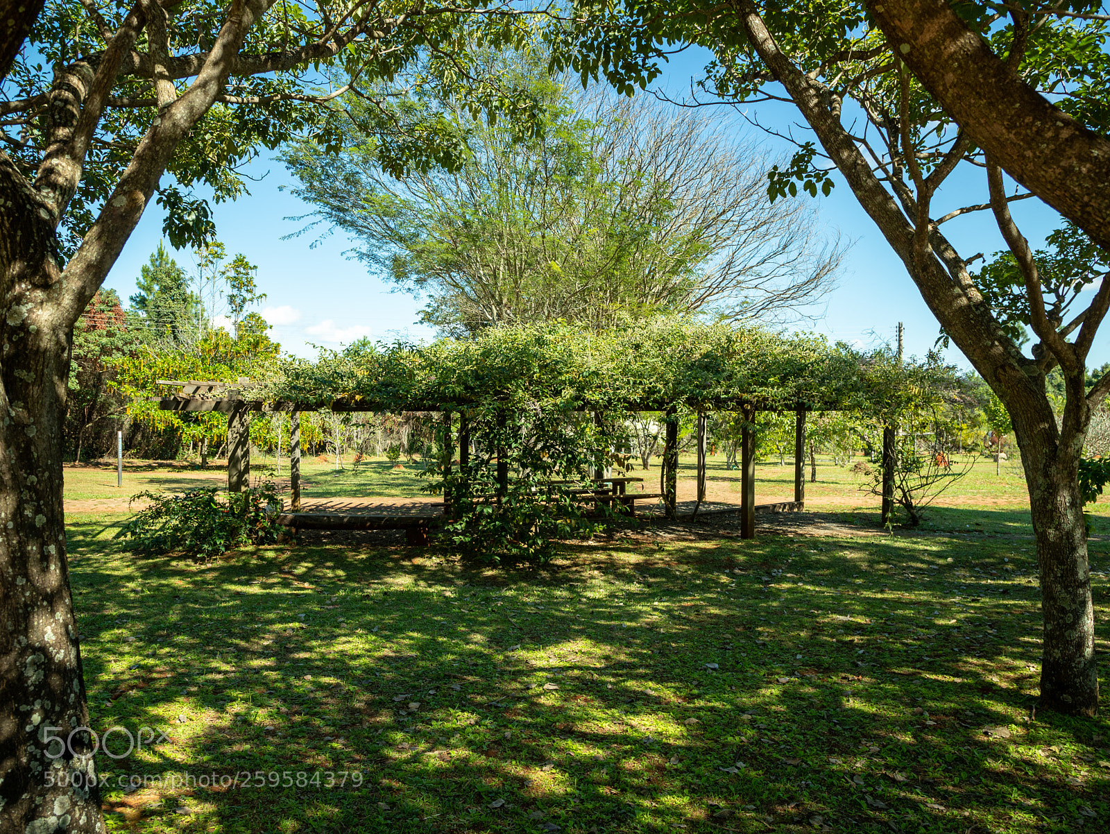 Canon EOS 6D Mark II sample photo. Jardim botanico photography