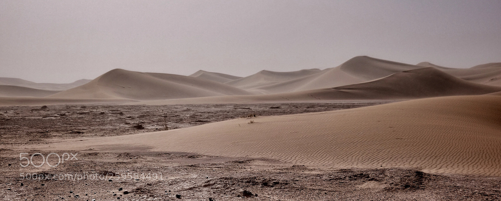 Fujifilm X-T1 sample photo. Desert photography