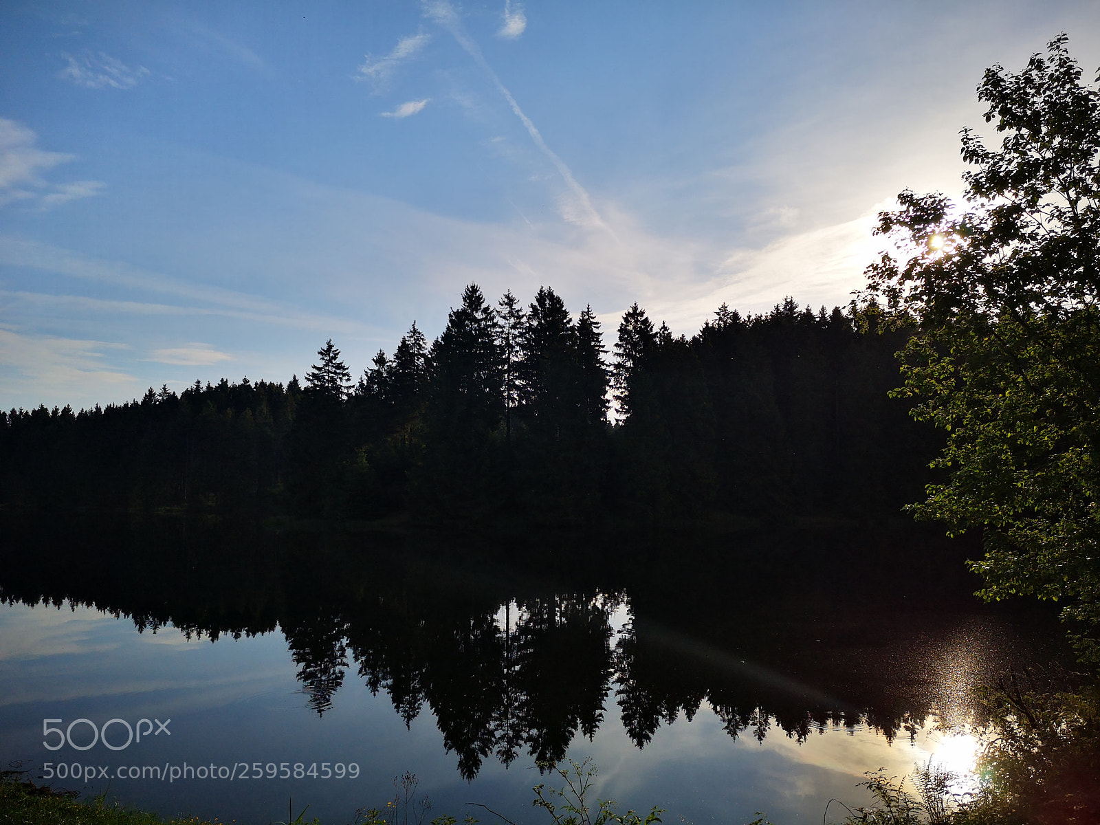 HUAWEI P20 sample photo. Untitled photography