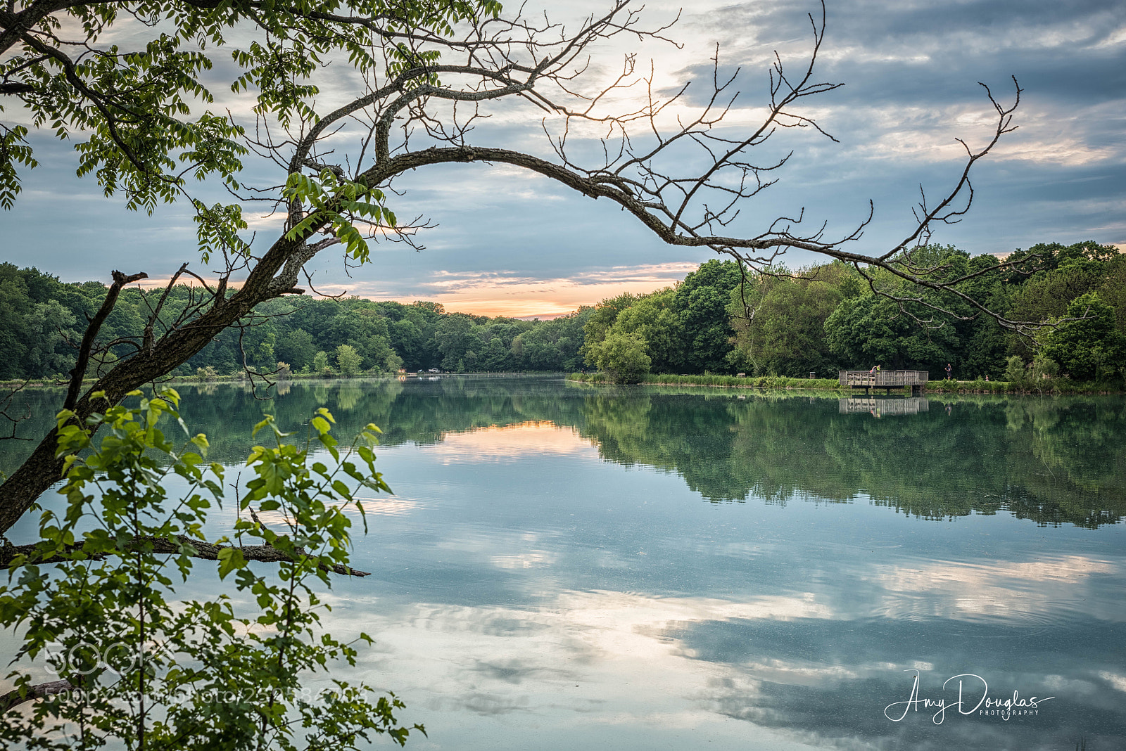 Nikon D810 sample photo. Midwest sunset  photography