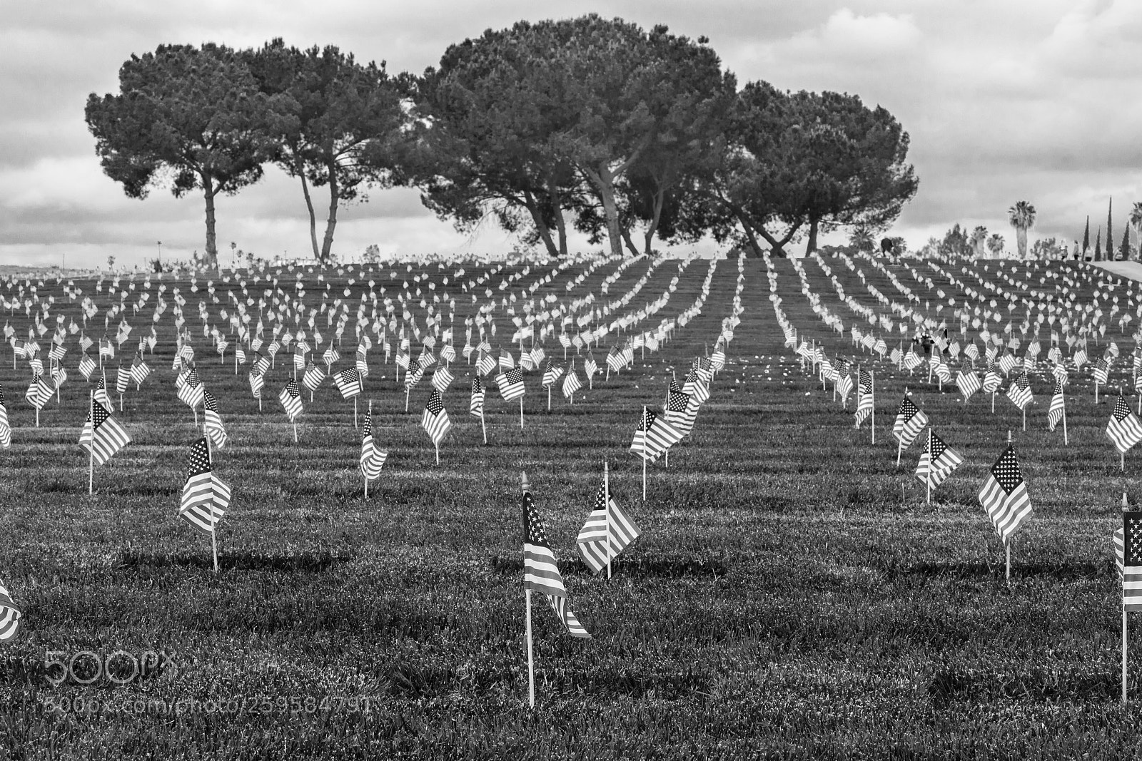Canon EOS 5D Mark IV sample photo. Honoring their service b photography
