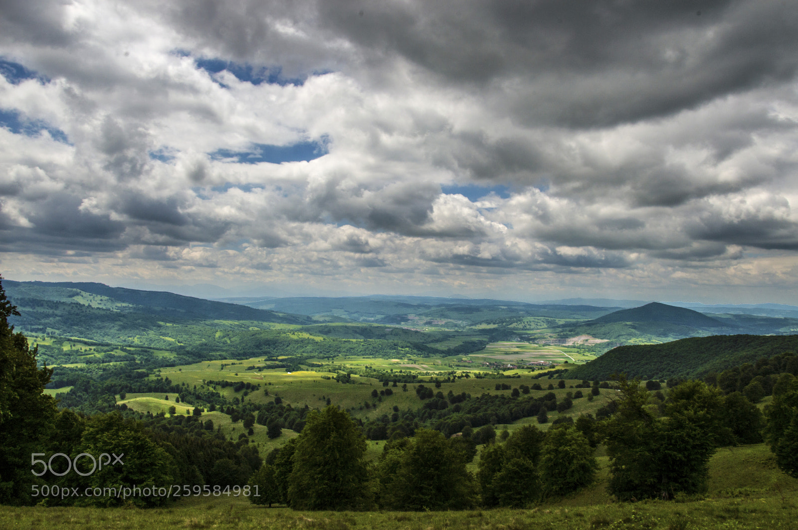Nikon D3200 sample photo. Transilvania photography