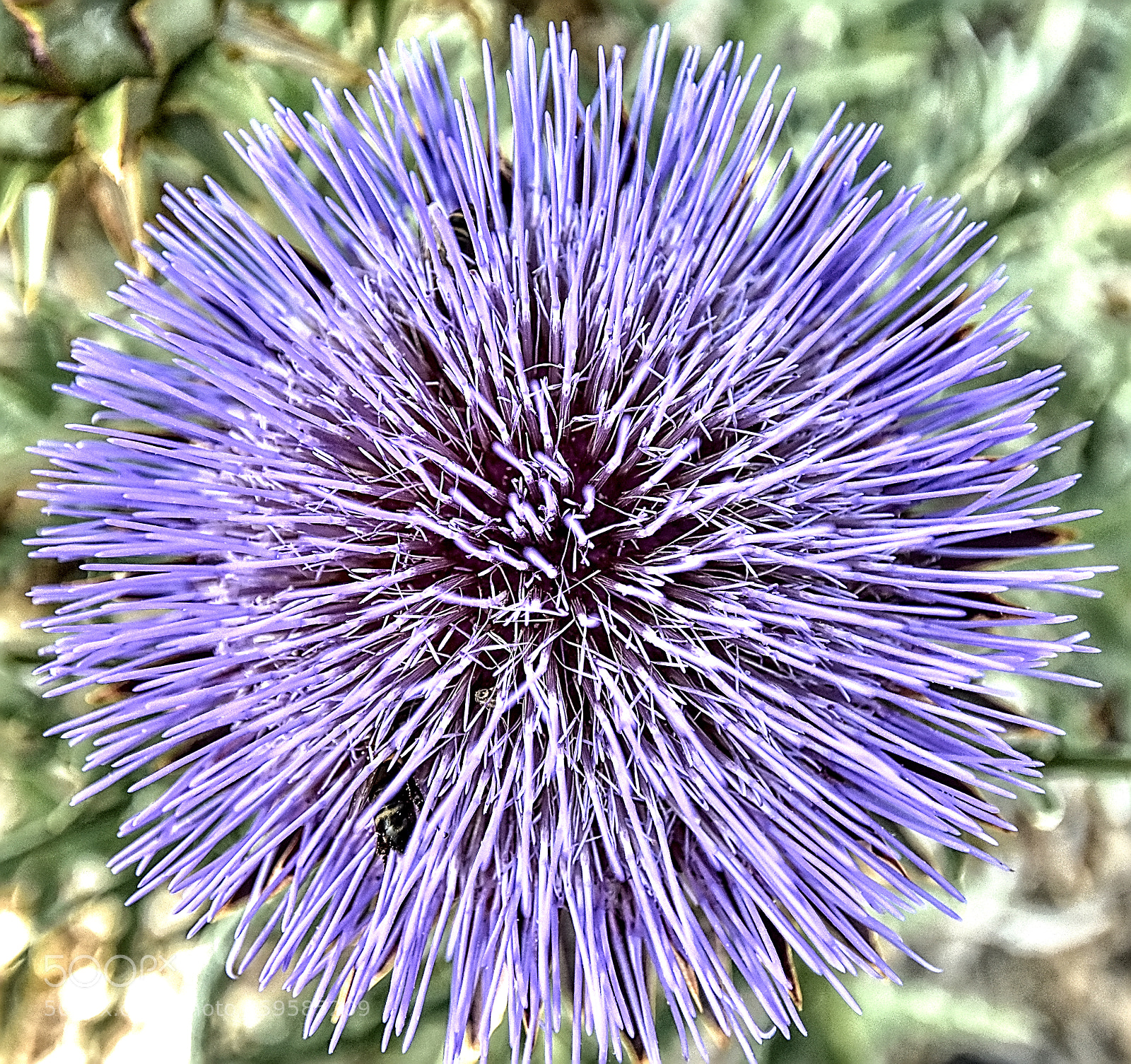 Nikon D7200 sample photo. Dsc photography