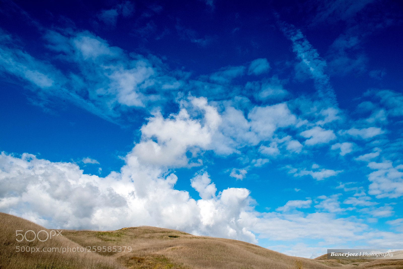 Nikon D810 sample photo. Cb8_6213-2.jpg photography