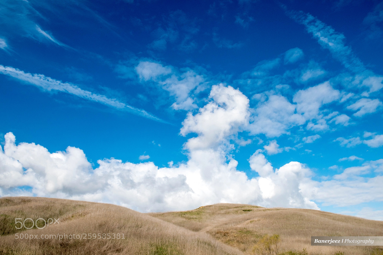 Nikon D810 sample photo. Cb8_6211-2.jpg photography