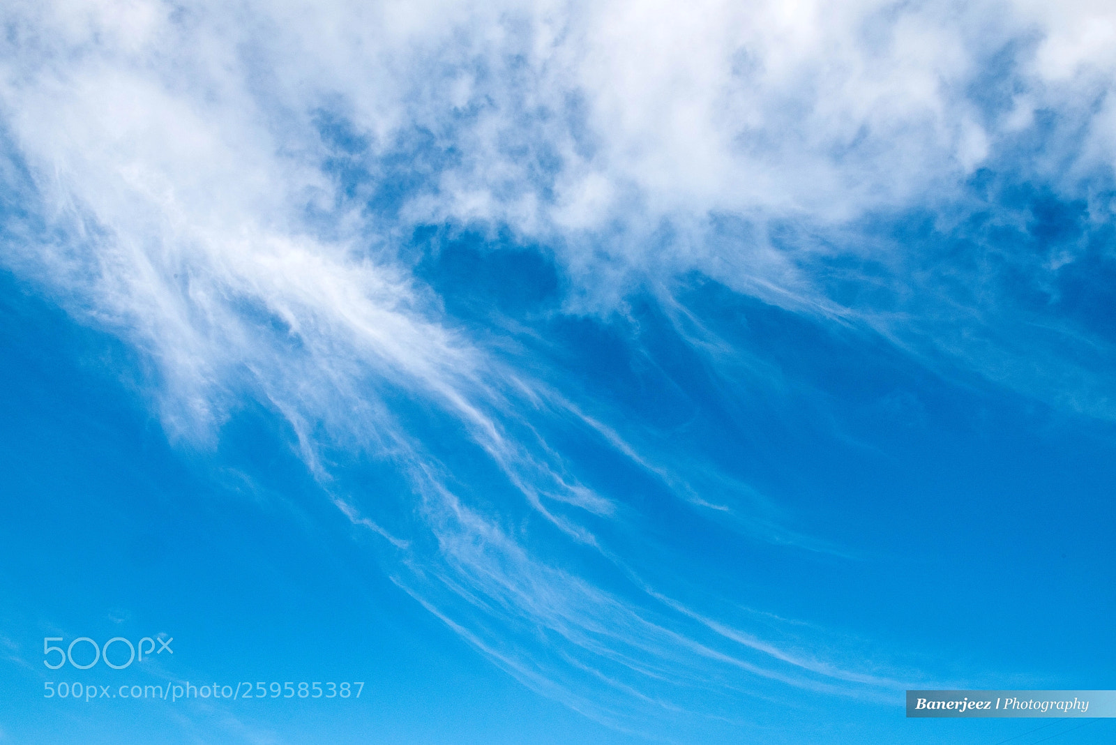 Nikon D810 sample photo. Cb8_6202-2.jpg photography