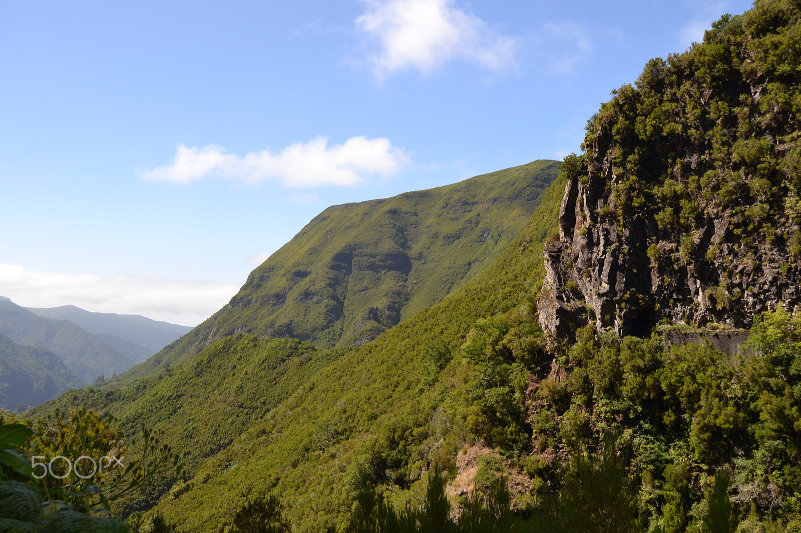 Nikon D3100 sample photo. View of madeira photography