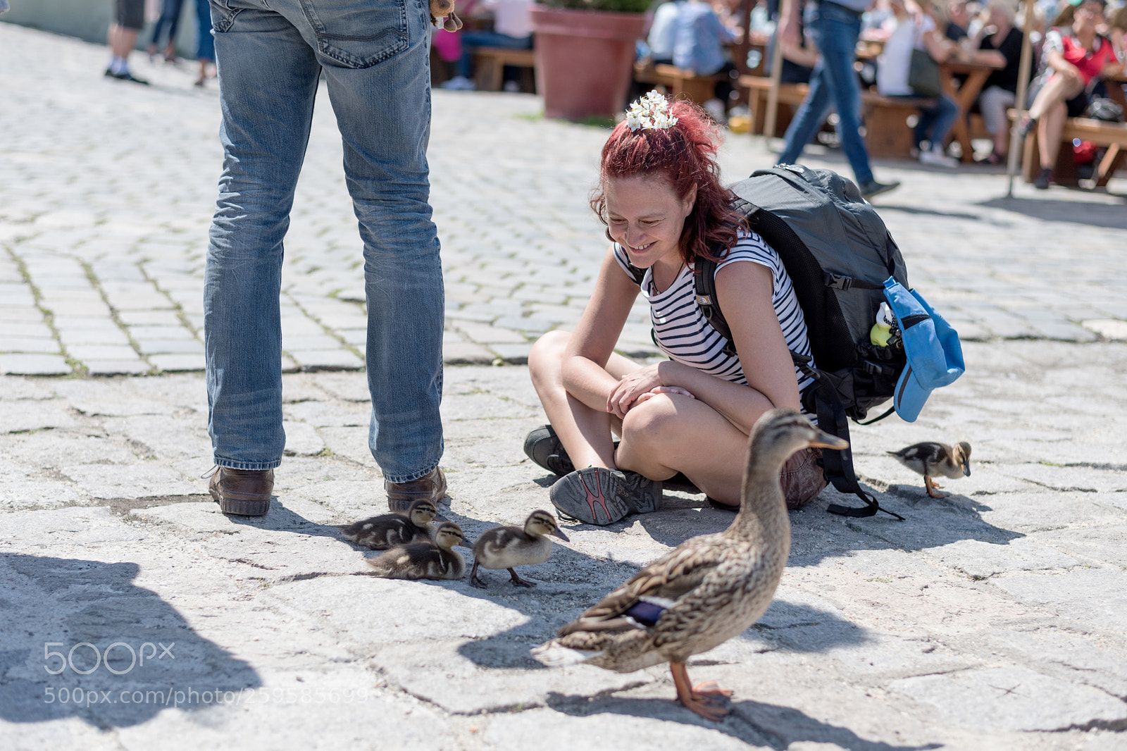Nikon D810 sample photo. Untitled photography