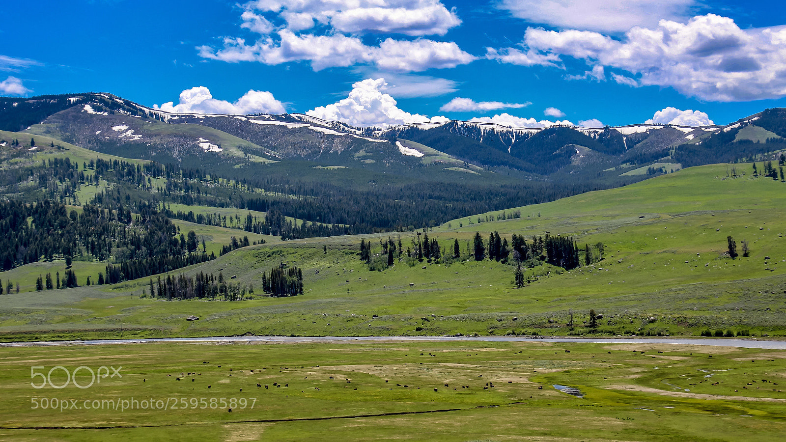 Canon EOS 1200D (EOS Rebel T5 / EOS Kiss X70 / EOS Hi) sample photo. Lamar valley photography