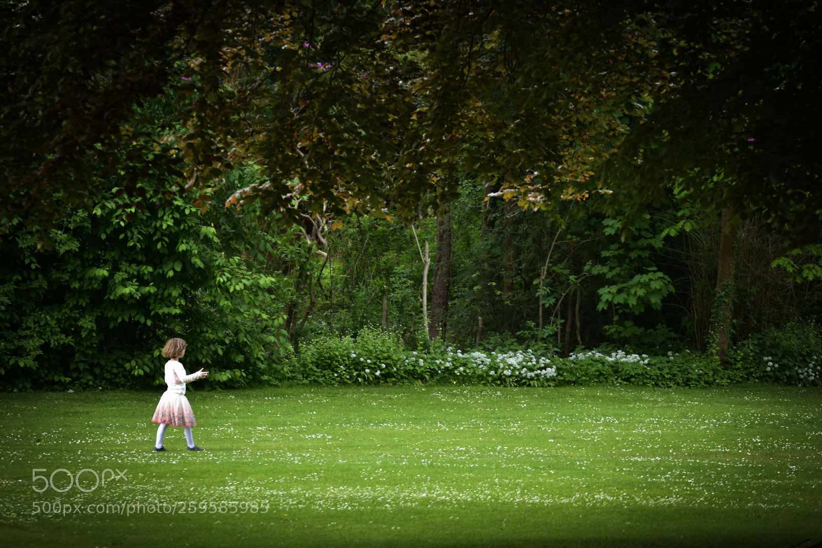 Nikon D7200 sample photo. Playing in the park photography