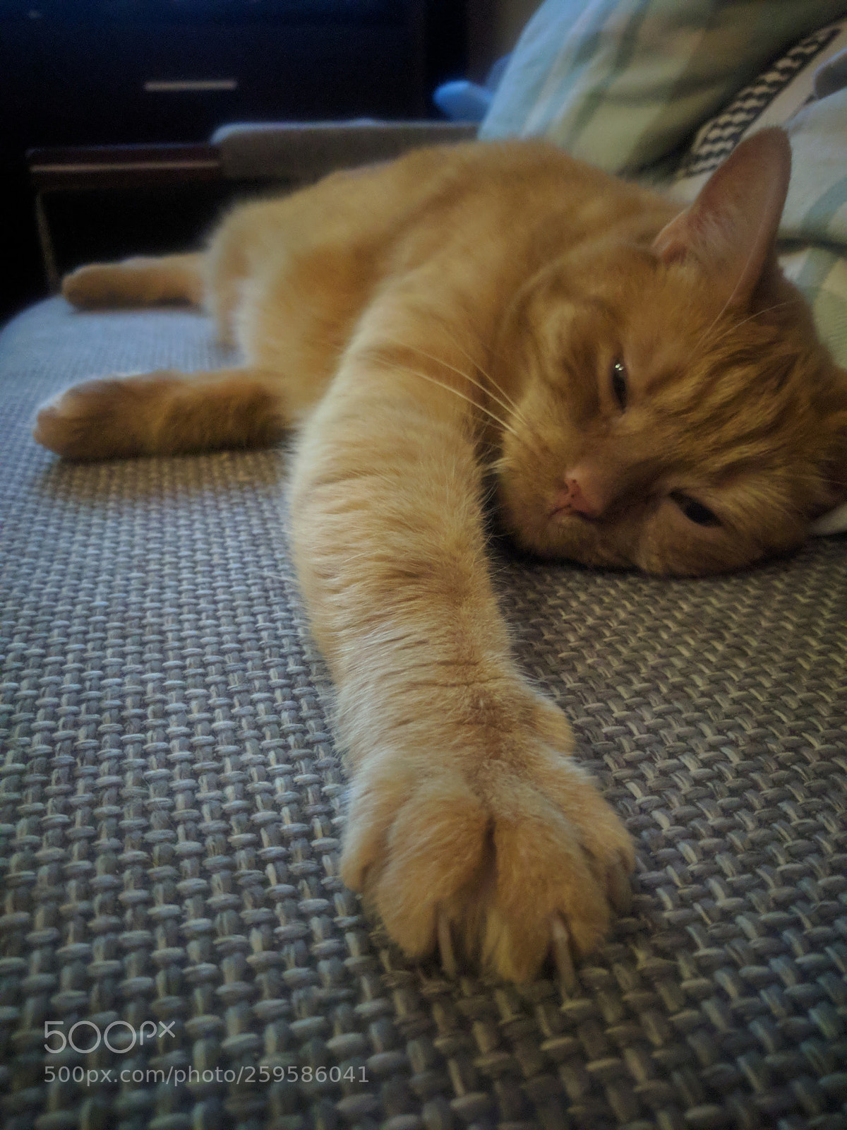 LG Nexus 5X sample photo. Untitled photography