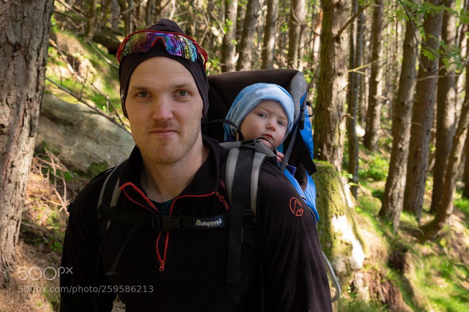 Fujifilm X-T1 sample photo. In the wood photography