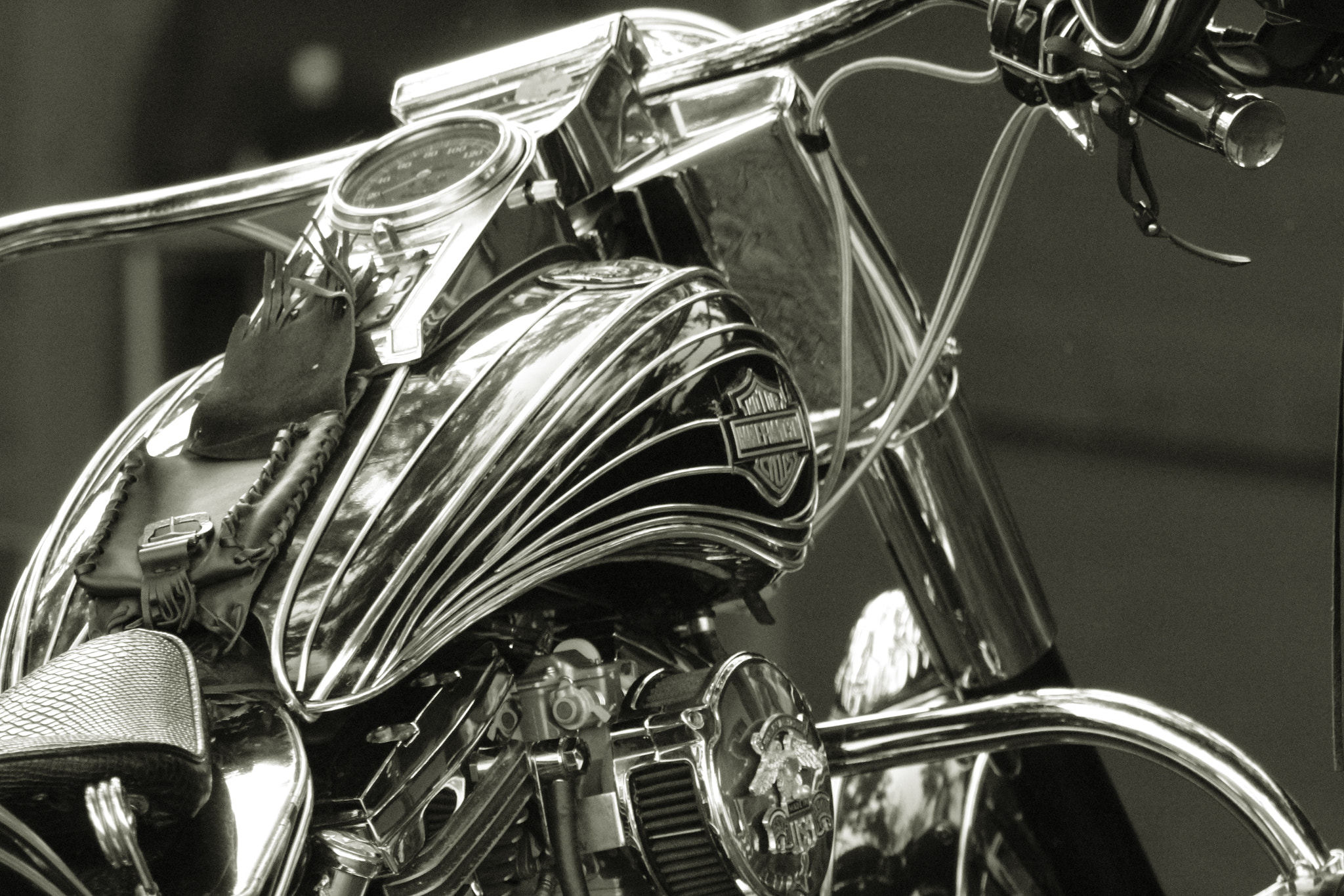 Canon EF 75-300mm F4.0-5.6 IS USM sample photo. Harley photography