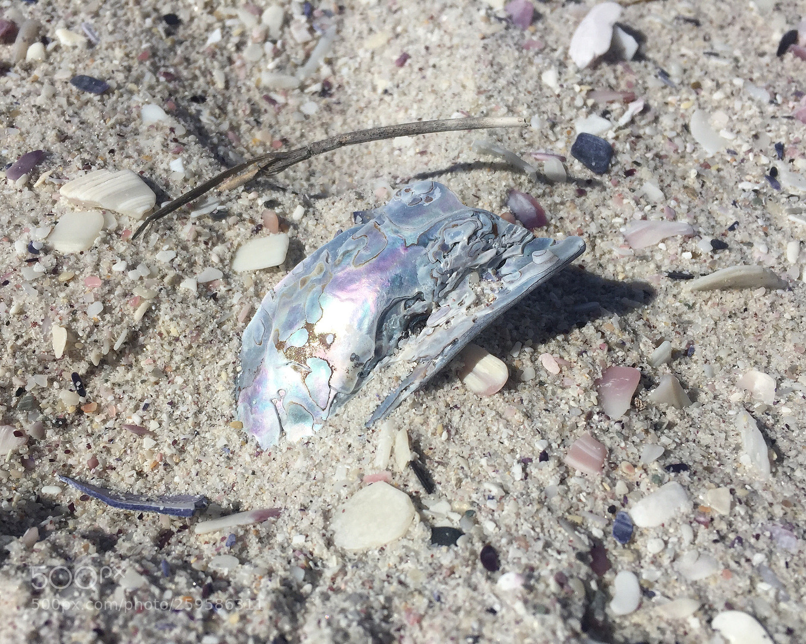 Apple iPhone 6 sample photo. All that glitters isn photography