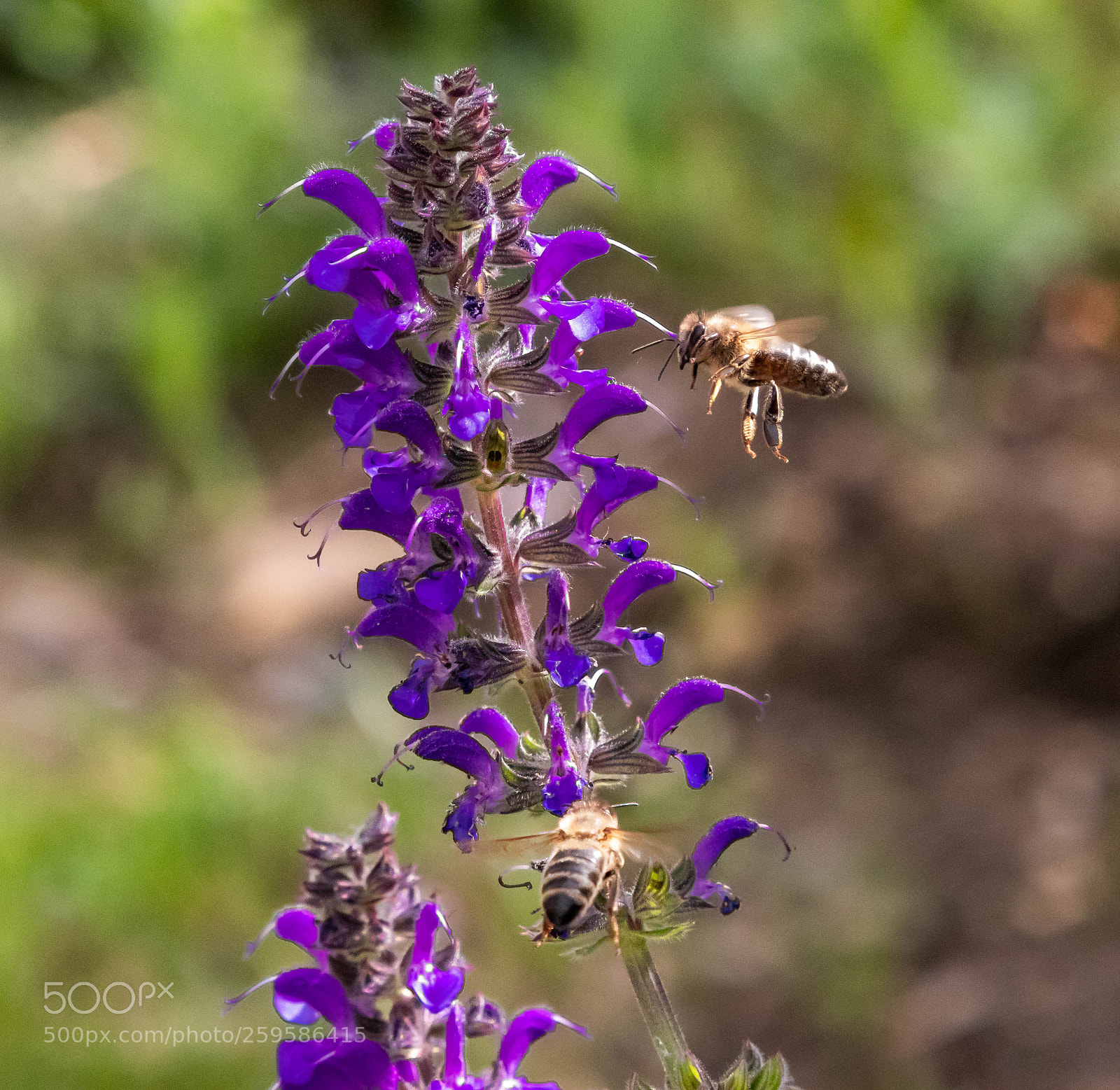 Canon EOS 80D sample photo. Arbeitskollegen photography