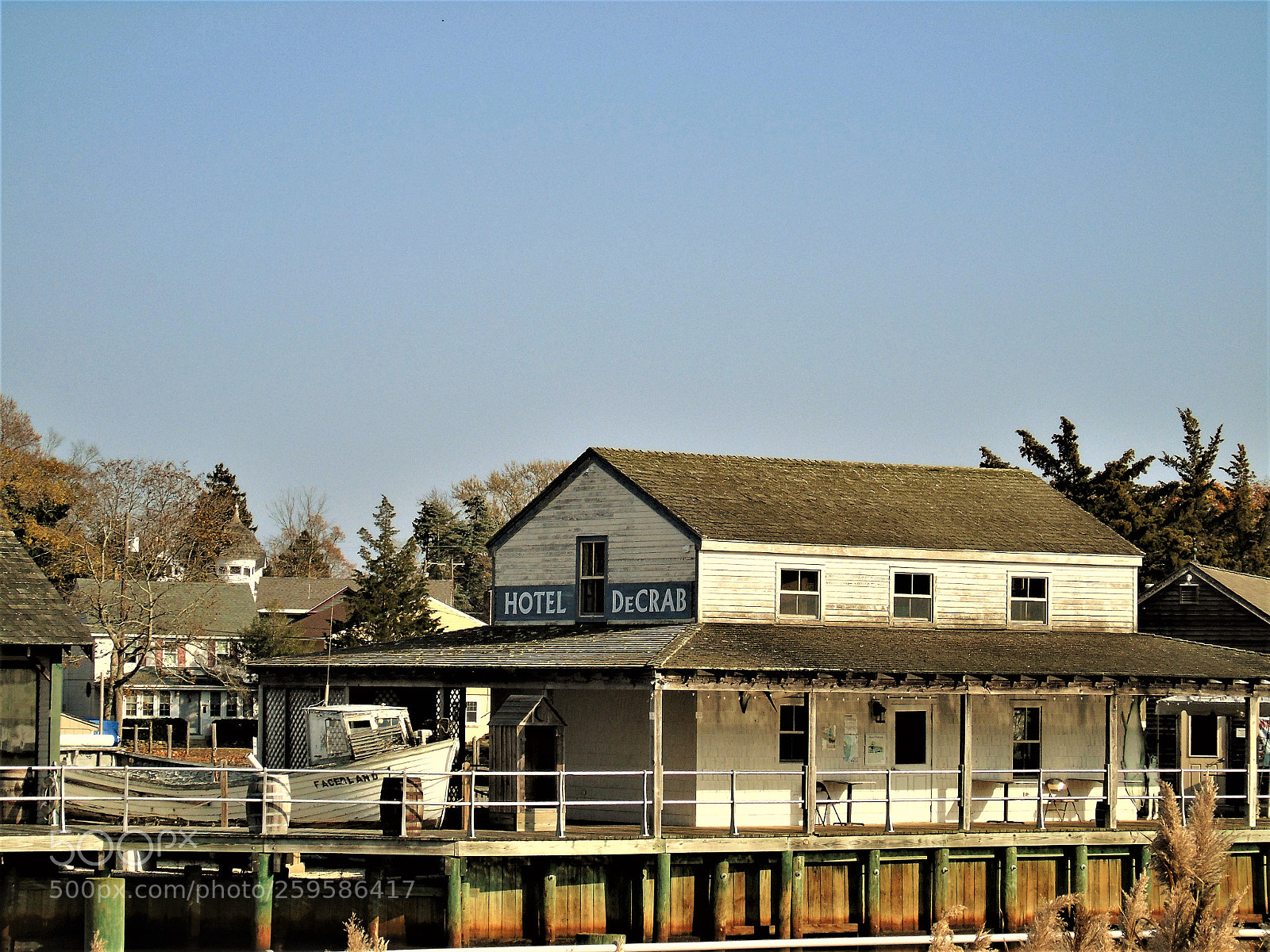 Sony Cyber-shot DSC-H400 sample photo. Crab house photography