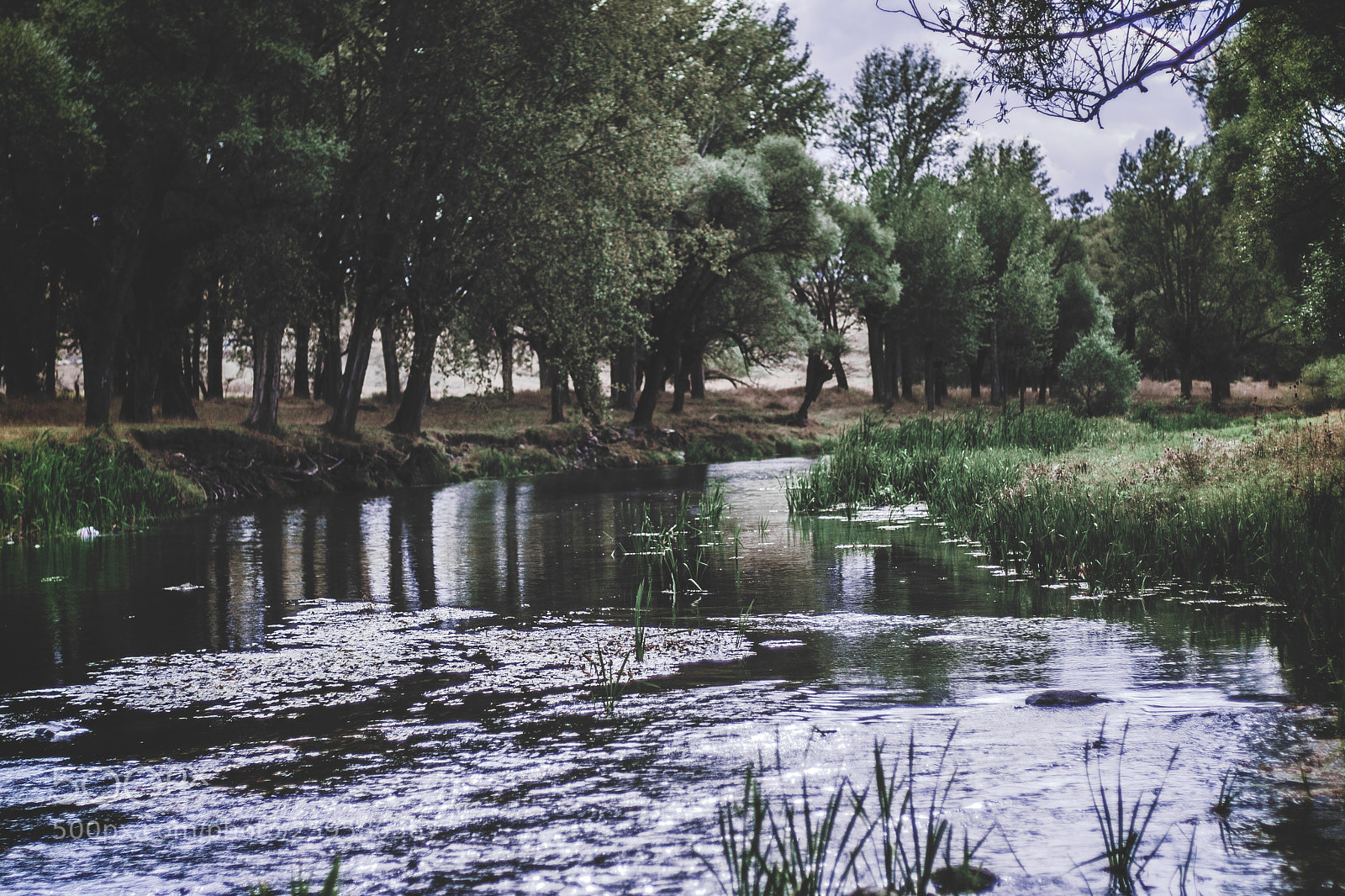 Canon EOS 40D sample photo. River photography